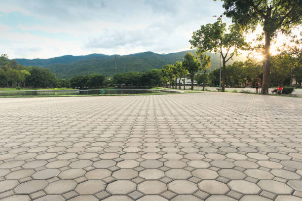 Best Commercial Driveway Pavers  in Brices Creek, NC